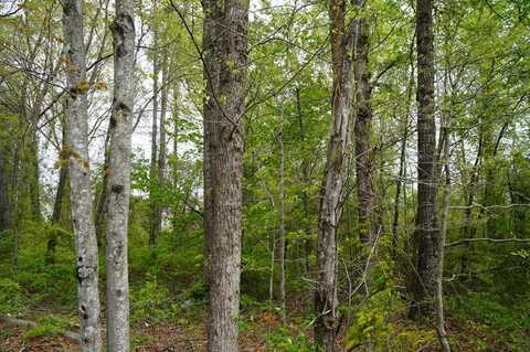 Walker Road, Brookneal, VA 24528