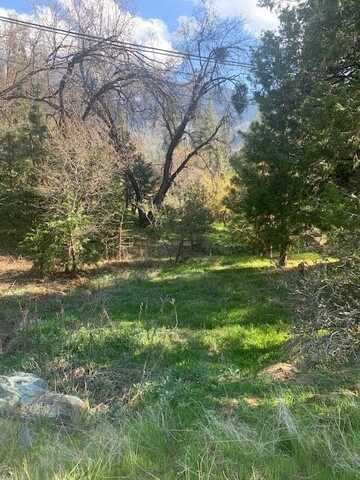 0 Bourbon Drive, Camp Nelson, CA 93265