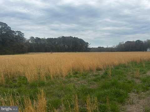 0 QUAIL, SALISBURY, MD 21804