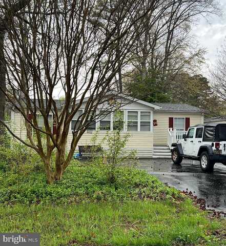 54 WHITE PINE DRIVE, MILLSBORO, DE 19966