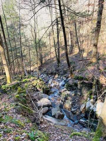 Lot 165 Bluff Lane, WILDER, TN 38589