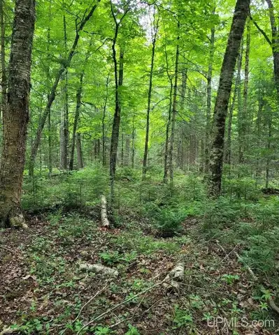 10.4 Acres W Tamarack Lake, Watersmeet, MI 49969