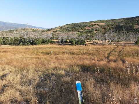 2547 S INDIAN RIDGE, Fairview, UT 84629