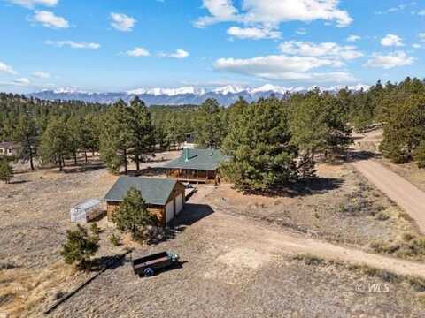 14 Hannah Cir, Westcliffe, CO 81252