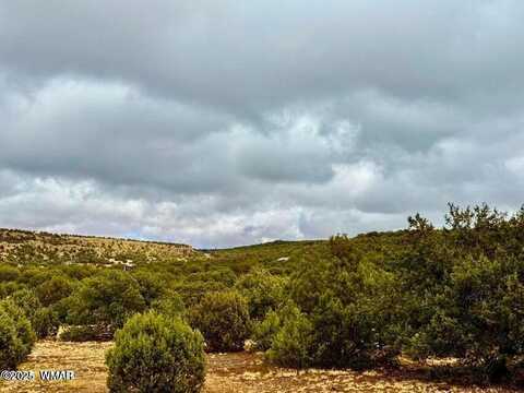 Tbd Co Rd 8256 Lot A 5 Acres, Concho, AZ 85924