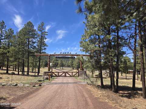 20 N1332, Greer, AZ 85927