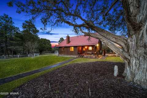 1591 Scotts Lane, Show Low, AZ 85901