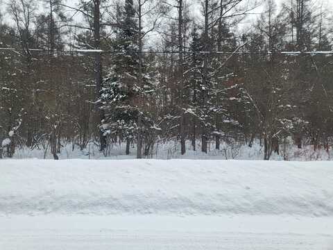 Vl Eagle Point Road, Grayling, MI 49738