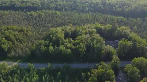 4523 Sunset Trail NE, Kalkaska, MI 49646
