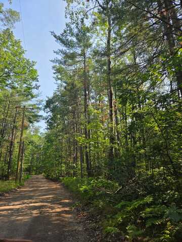 Newell Avenue lot: #53, Topinabee, MI 49791