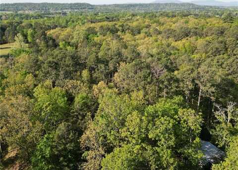 Lot 13 Tree Line CIR, Russellville, AR 72802