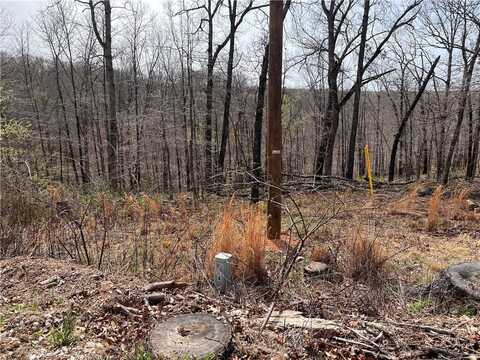 6 Hutchinson LN, Bella Vista, AR 72715