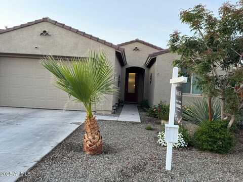 11562 W LEVI Drive, Avondale, AZ 85323