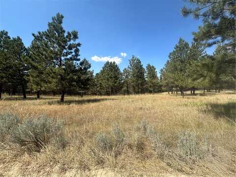 20 Acres TBD Roland Road, Roundup, MT 59072