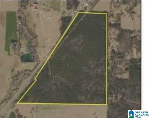 0 CURRY STATION ROAD, TALLADEGA, AL 35160