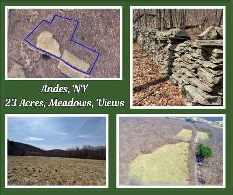 Lot 2 Doig Hollow Road, Andes, NY 13731