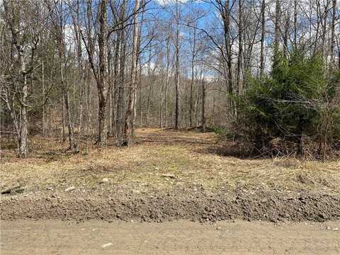 Methol Road, Hancock, NY 13783
