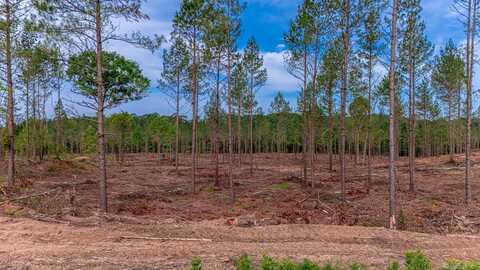 LOT #3 Grant 55, Hensley, AR 72065