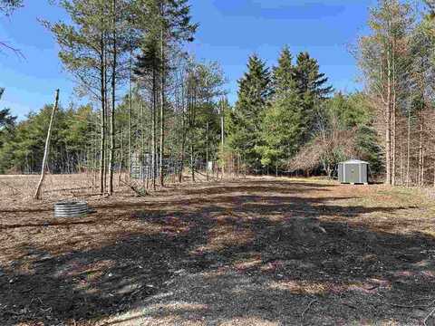 10647 JONES, CARP LAKE, MI 49718
