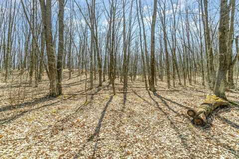 10.1 Acres Nancy Ann, Gladwin, MI 48624