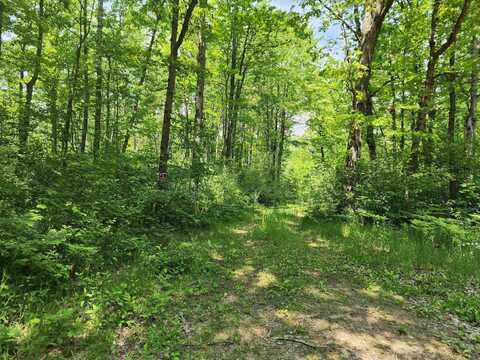 50 +/- Acres Mostetler, Harrison, MI 48625