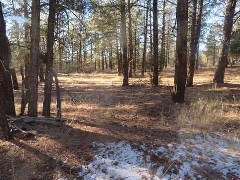 553 Crooked Road, Pagosa Springs, CO 81147