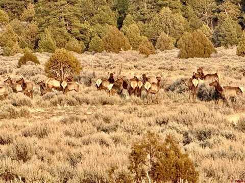 000 96 & 595 Highway, Regina, NM 87046