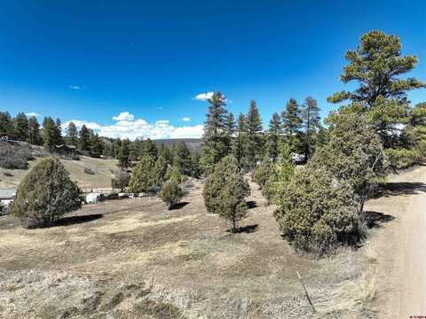78 Dyke Blvd, Pagosa Springs, CO 81147