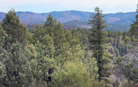 206 Alcazar Place, Pagosa Springs, CO 81147
