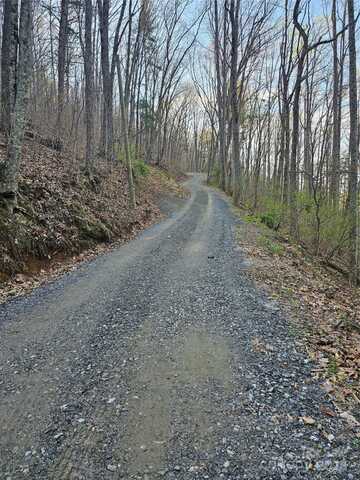 99999 Pink Fox Cove Road, Weaverville, NC 28787