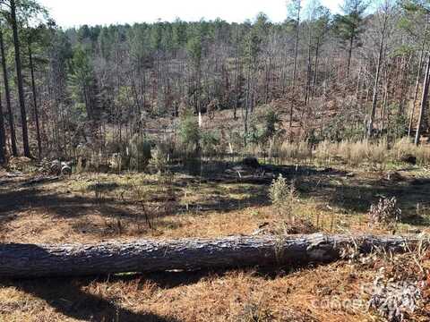2072 Snowmass Drive unit: 36, Connelly Springs, NC 28612