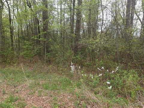 12332 E Booker Boulevard, Chester, VA 23831