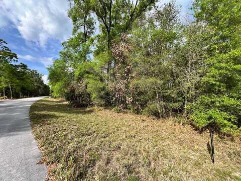 00 74th Ct, Chiefland, FL 32626