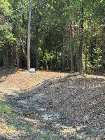 0 Highway 431, Eufaula, AL 36027
