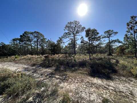 Lot 3 Jeep Road, Inlet Beach, FL 32461