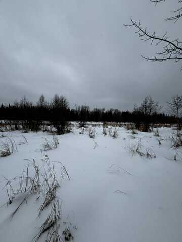 TBD, Brimley, MI 49715