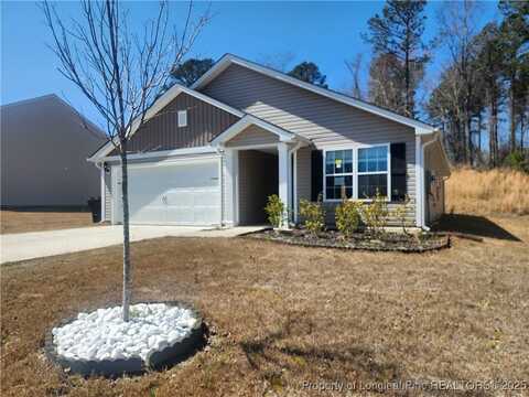 207 Barnsley Road, Angier, NC 27501