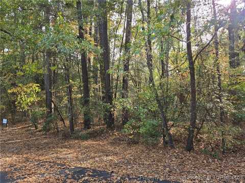 Lot 47 A Cypress Creek Corner, Woodlake, NC 28394
