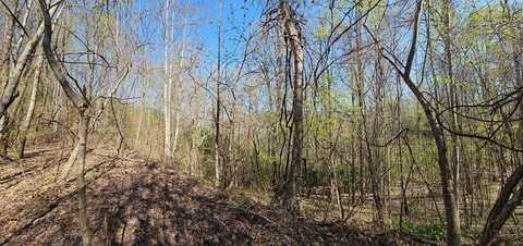 29a Timber Estates RD, Bryson City, NC 28713