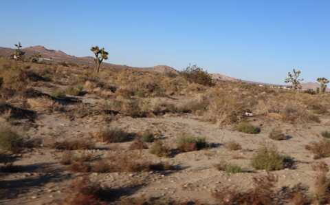 Vac Vic Rae Courson Ranch, Palmdale, CA 93550