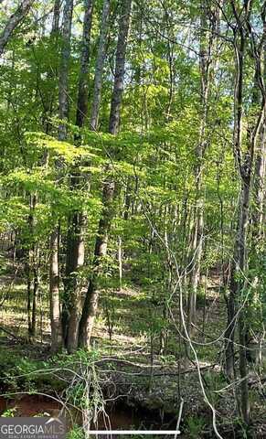 396 Ashley, Athens, GA 30607