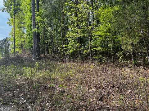 0 Waterview Lot 34, Lagrange, GA 30241