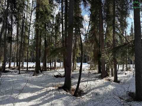 Lot 13, Block A RIVER PARK DRIVE, Fairbanks, AK 99712