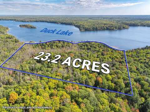 Off DUCK LAKE RD E, Land O Lakes, MI 49969