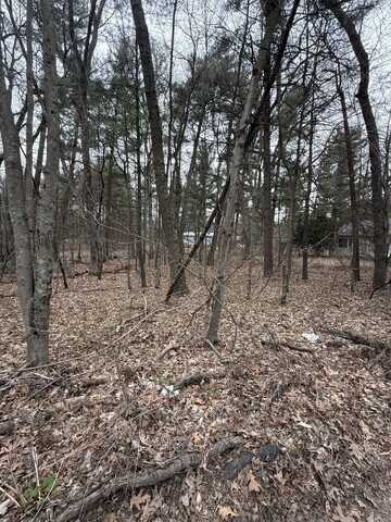 Oak Street, Twin Lake, MI 49457