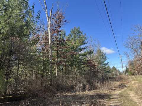 00 W Ogilvie Avenue, Baldwin, MI 49304