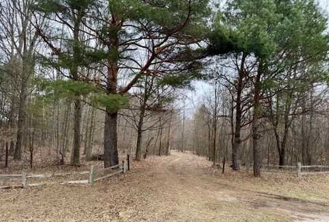 16230 160th Avenue, Rodney, MI 49342