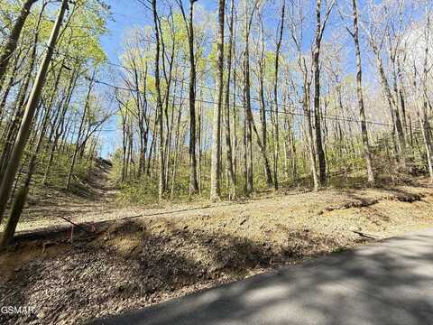 1440 Laurel Road, Gatlinburg, TN 37738