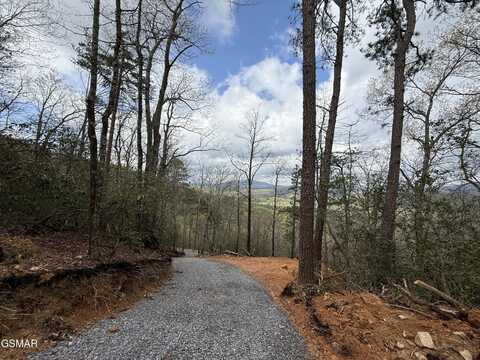3.93 Green Forest Road, Cosby, TN 37722