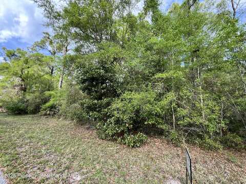 0 NW 74th Court, Chiefland, FL 32626